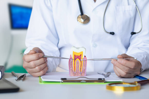 Best Weekend Emergency Dentist in Comfort, TX